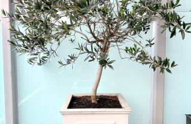 Cloud Nine Luxe Apartment - Foto 16