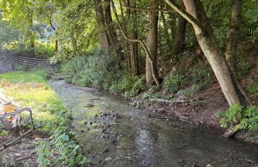 Korzkiewka - Foto 18