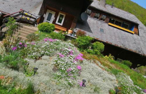 Schwarzwaldferienwohnung Oberle - Foto 24