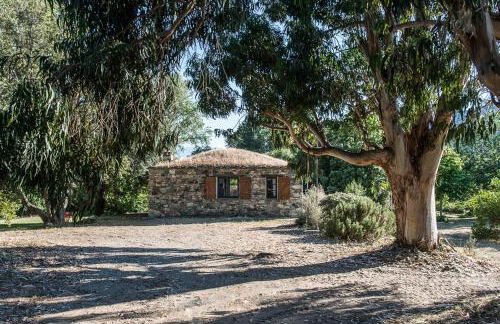 Les jardins de Foata - Foto 8