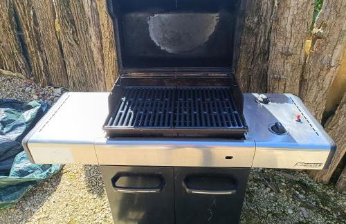 Les Demoiselles du Lac - Foto 11