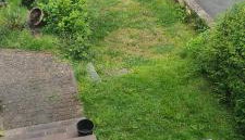 Wolke7 und Himmelsleiter2 - Foto 4