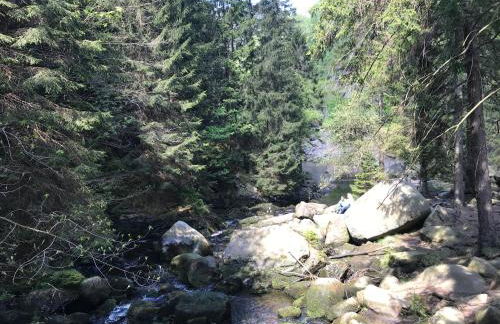 Am Wäldchen - Foto 28