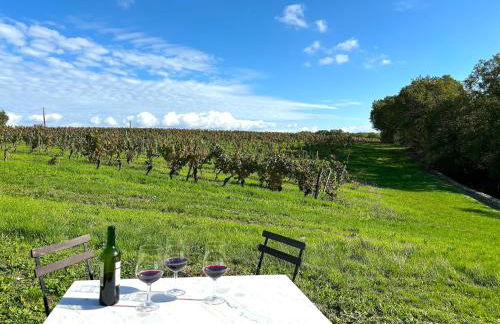 Domaine Coeur des Vignes - Foto 80