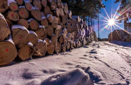 "Chalet H28" mit 4 Schlafzimmer in Todtnau-Muggenbrunn - Foto 28