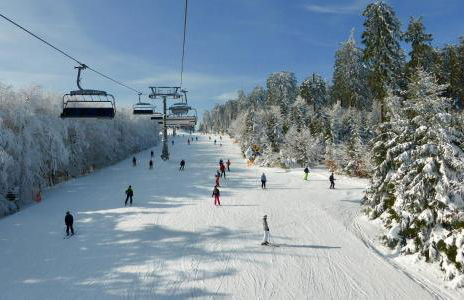 Haus zur Mühle - Foto 38