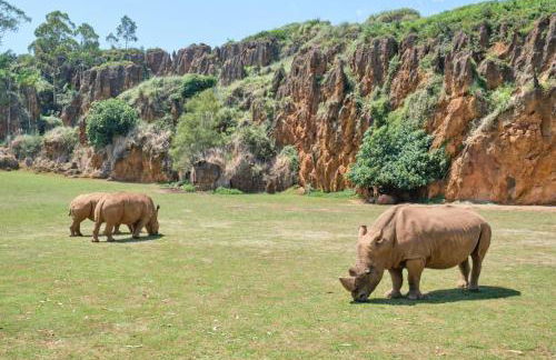 APARTAMENTO COSTA CANTABRIA - Foto 52