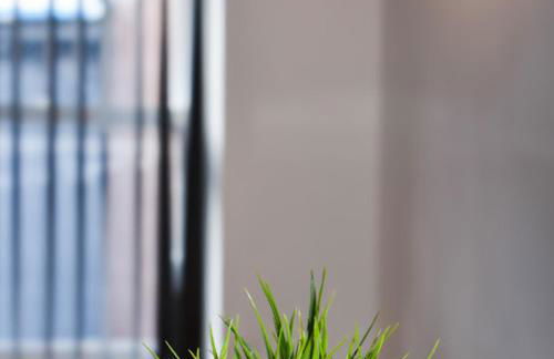 CASTLE STREET - City Centre 2 bedroomed Apt sleeps 8 - Foto 7