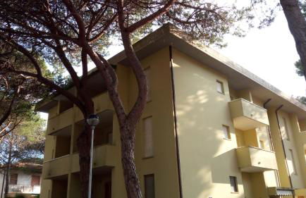 Stella Marina - Foto 18