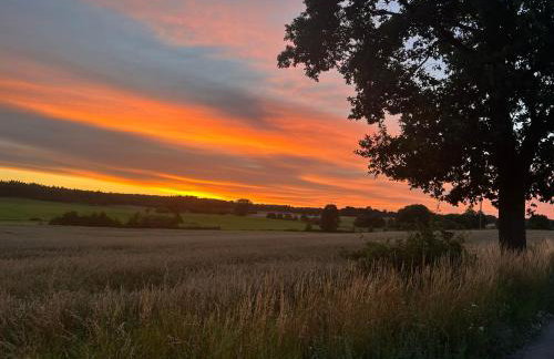 Pod Kogutem i Sową - Bio Wioska z domkami Premium w góralskim stylu VIP - Foto 9