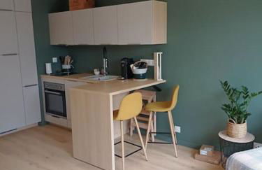 Ty Jolie Super Grand Studio avec Parking et Terrasse - Foto 13