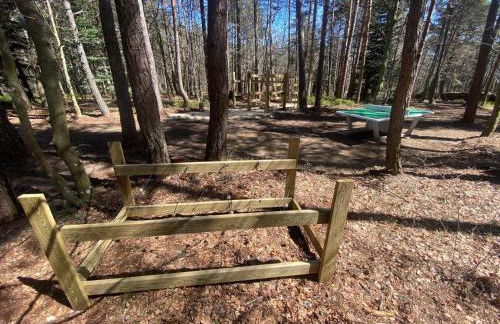 Golf, Bain à Remous, Piscine et Activités Ludiques : Lodge de Luxe pour 4 Adultes + 2 Enfants - FR-1-582-368 - Foto 29