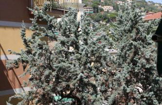 Santa Margherita Ligure Apartment with parking - Foto 23