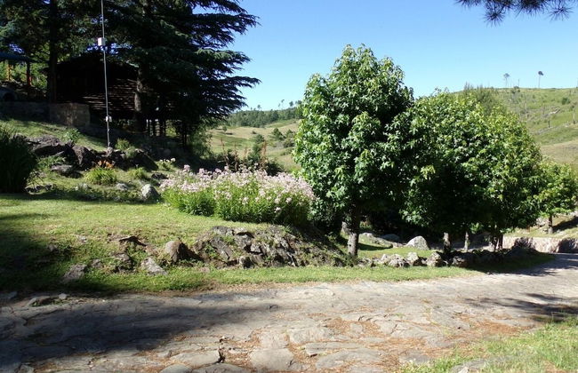 Aparthotel Sueños del bosque - Photo 13