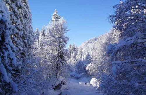 Almblick Ferienwohnung - Photo 25