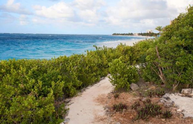 Fountain Anguilla - Photo 65