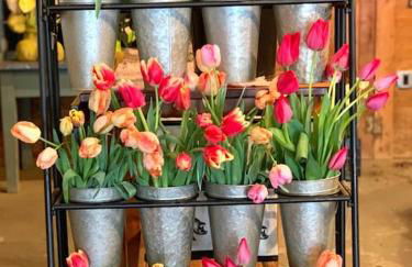 Luxury Farm Stay-Bonds Corner Bungalow-Wolf Pine Hollow - Foto 80