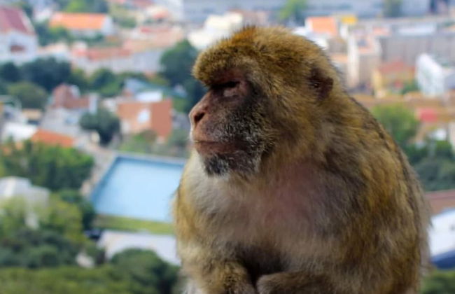 Stunning 1-bed Luxury Studio in Gibraltar - Foto 19