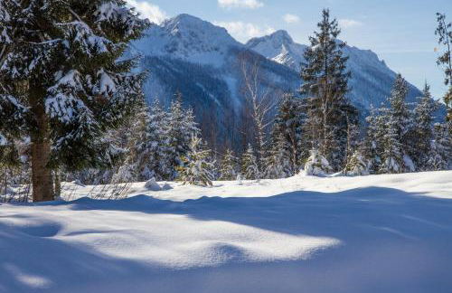 Ferienwohnung Haus Rieder Inzell - Foto 7