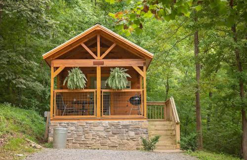 Nana Cabin Tiny Log Home Comfort In Rustic Bliss - Foto 4