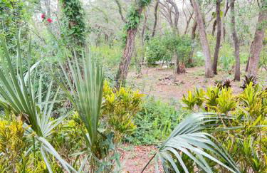 Resort Like house, 4 bedrooms, 3 bathrooms - Photo 12