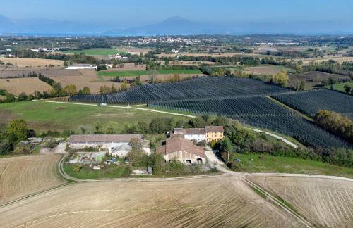 Nuova Scardua Agr Cucina Tipica - Foto 15