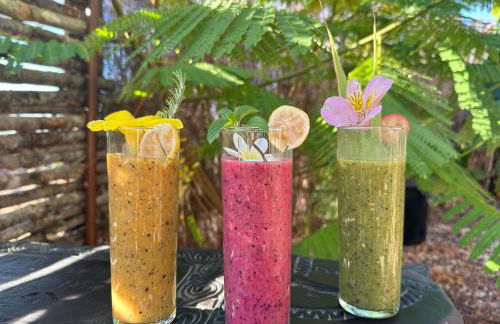 Afrikan Krisant Tenerife, Casa Rural Ecologica - Foto 32