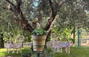 Le Coccole Del Trasimeno - Foto 42