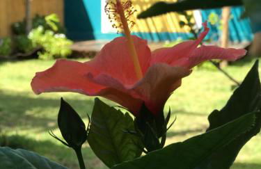 Chalés Amarante - Foto 29