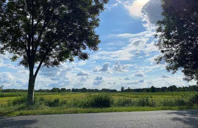 Cozy House with a Boat near Giethoorn & Weerribben Wieden National Park - Photo 40
