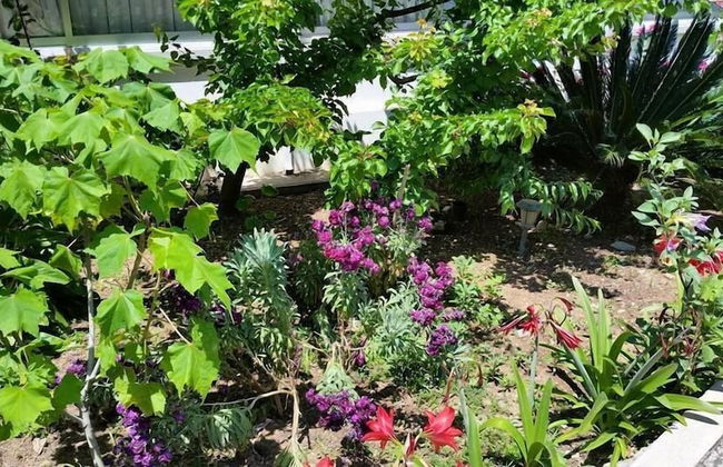 Paradise Holiday Bungalows - Foto 25