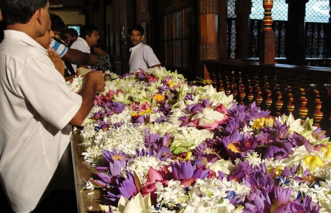 Explore Central Srilanka - Foto 23