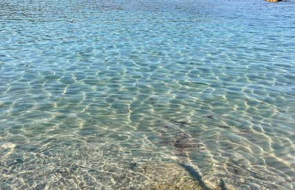 Appartement à 2mn de la plage du Ruppione - Foto 10