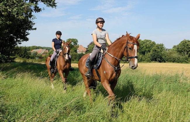Ferien- und Pferdehof Glöe GbR - Foto 63