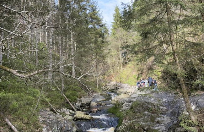 Holiday Home in Ardennes With Scenic Terrace - Photo 30