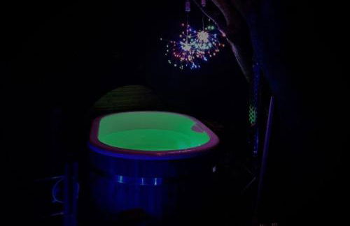 The Pheasant - Foto 19