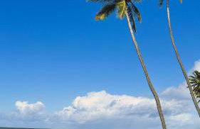 Apartamento Aconchego de Carapibus - Photo 33