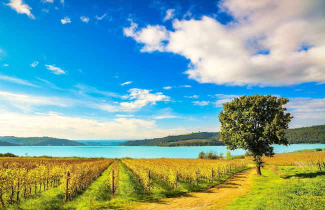 Chalet In Enchanted Forest Private Pool - Photo 15