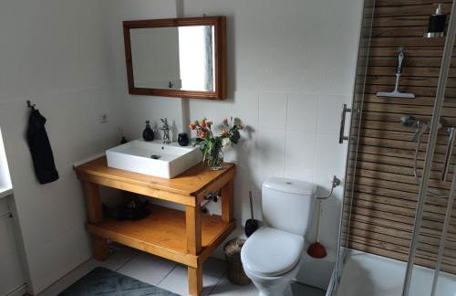 City Nest - Große gemütliche Ferienwohnung mit Terrasse, zentral gelegen, für Paare, Familien und Hunde! - Foto 15