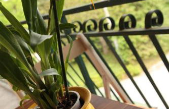 Apartments Strmac - Foto 48