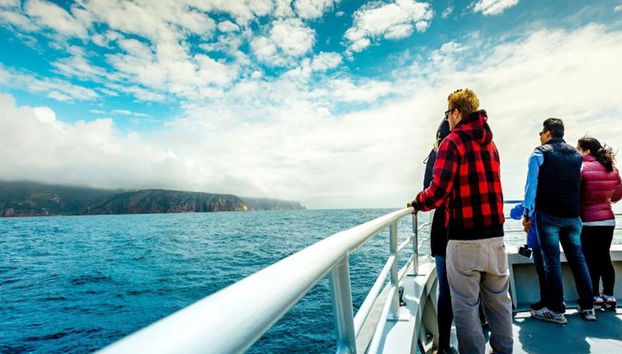 Bruny Island Wilderness Cruise and Bus Transfer from Hobart - Photo 3