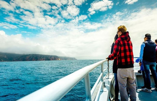 Bruny Island Wilderness Cruise and Bus Transfer from Hobart - Photo 3