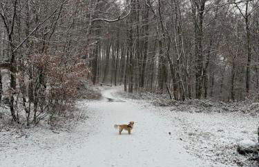 ChrisTho - Am Rheinsteig - Foto 24