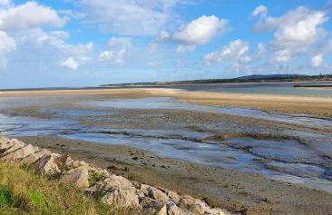 RACINES MARINES - Foto 26