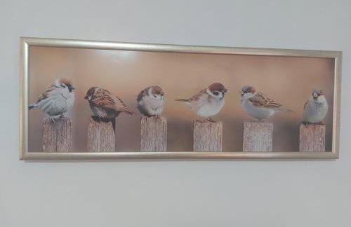 Apartment Dunja with Panoramic View - Foto 14