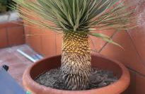 La Casetta di Camelia - Foto 58