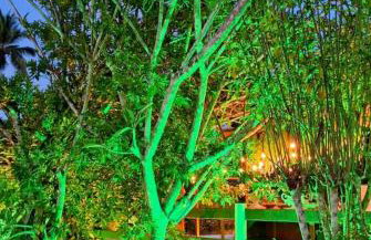 Granja São Pedro - Foto 16