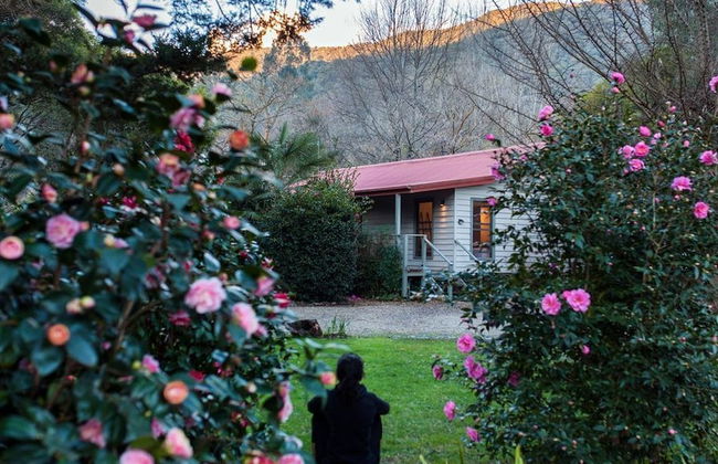 Mystic View Cottage Wandiligong - Foto 23