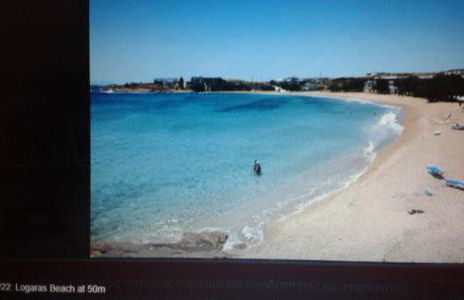 Thalia Apartment - Photo 28