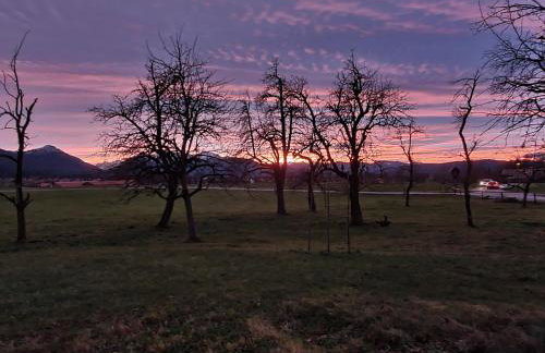 Bergeblick Bichl an der Ludlmühle - Foto 6